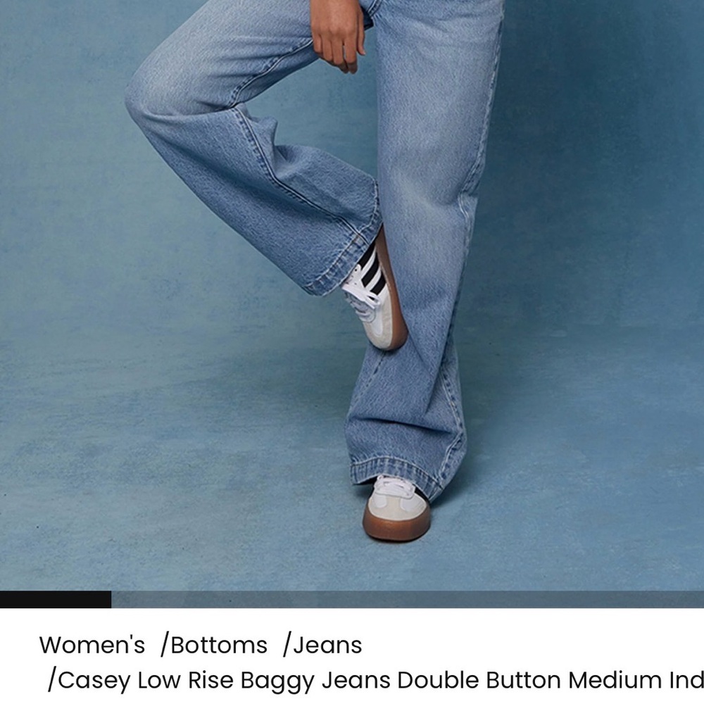 Pacsun low rise baggy double button jeans